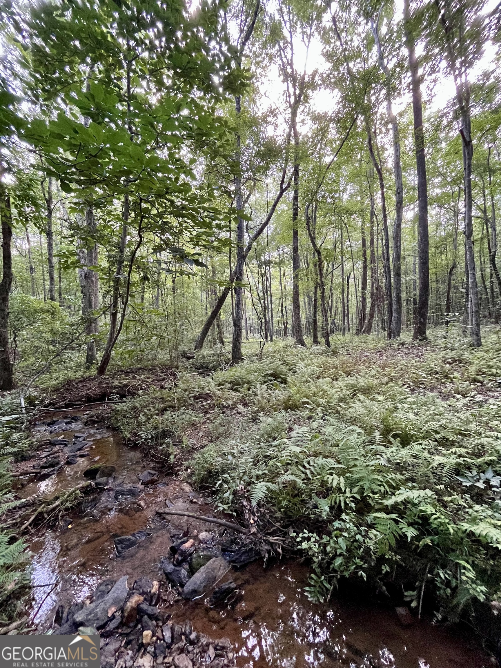 621 Rance Foster Road Bowdon, GA 30108 - Photo 40 of 44