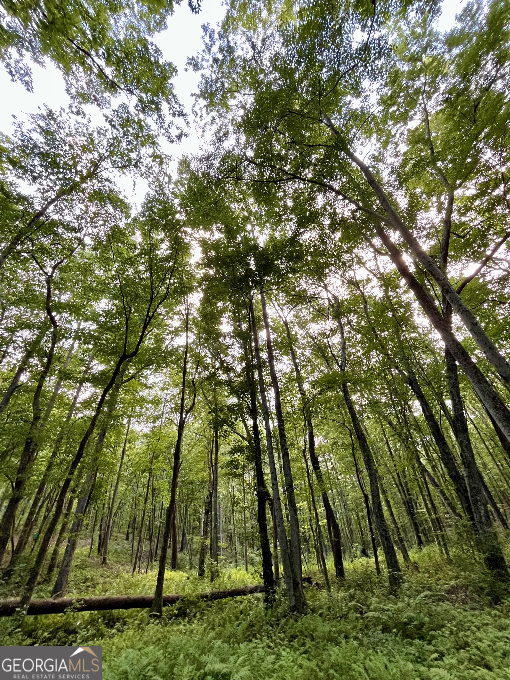 621 Rance Foster Road Bowdon, GA 30108 - Photo 42 of 44