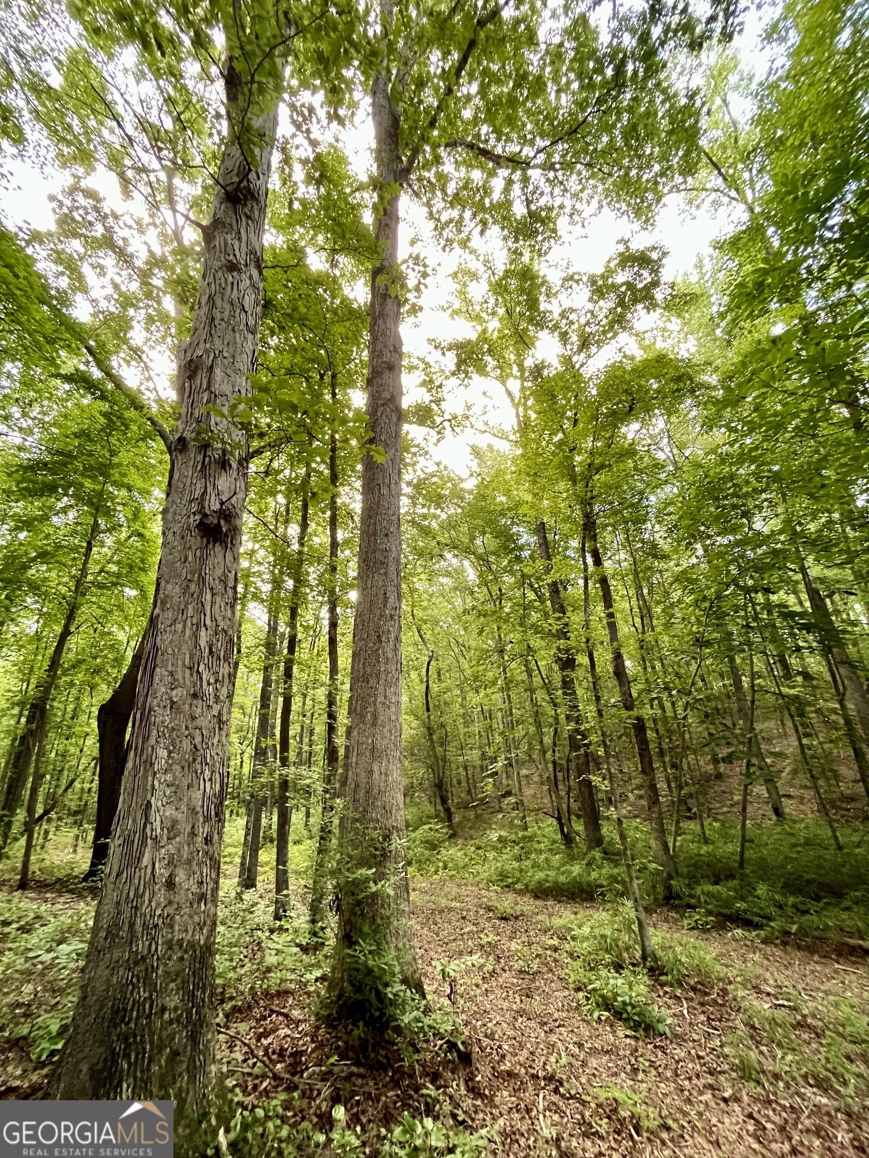 621 Rance Foster Road Bowdon, GA 30108 - Photo 43 of 44