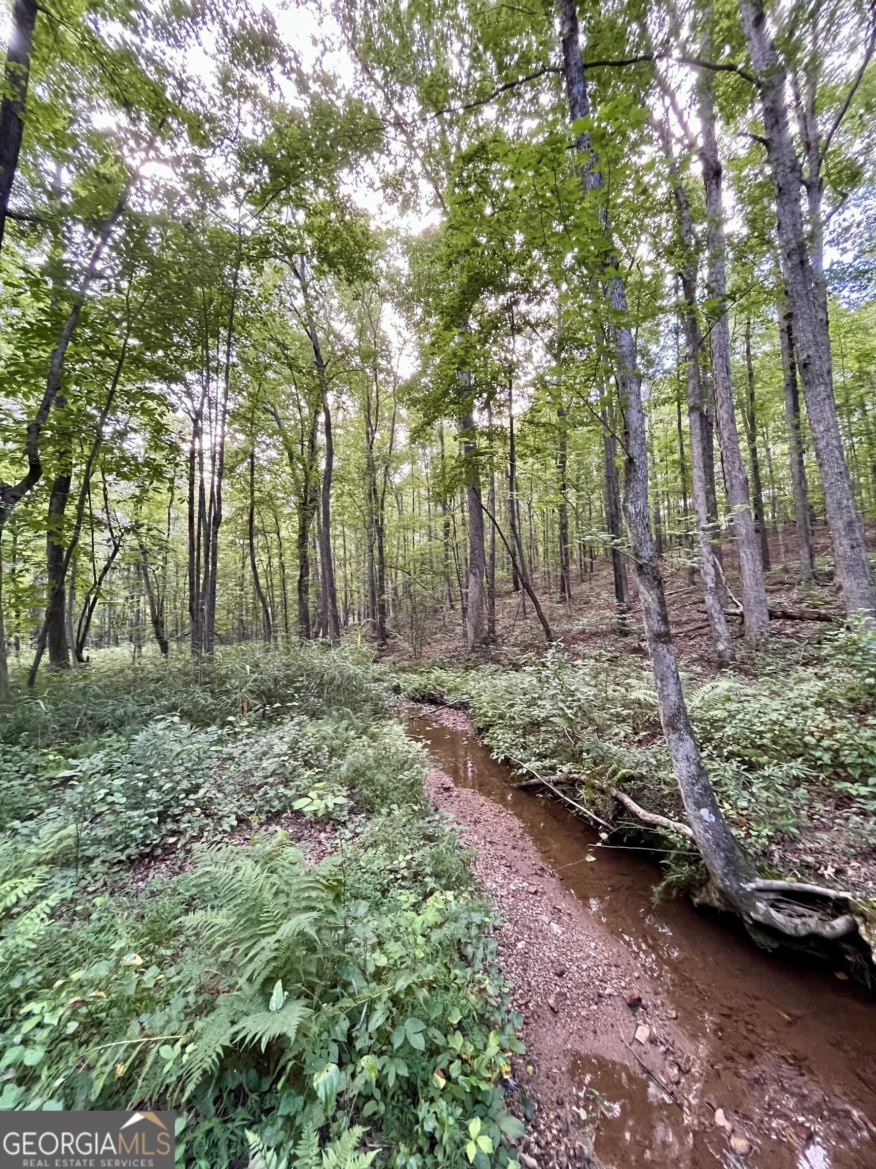 621 Rance Foster Road Bowdon, GA 30108 - Photo 44 of 44