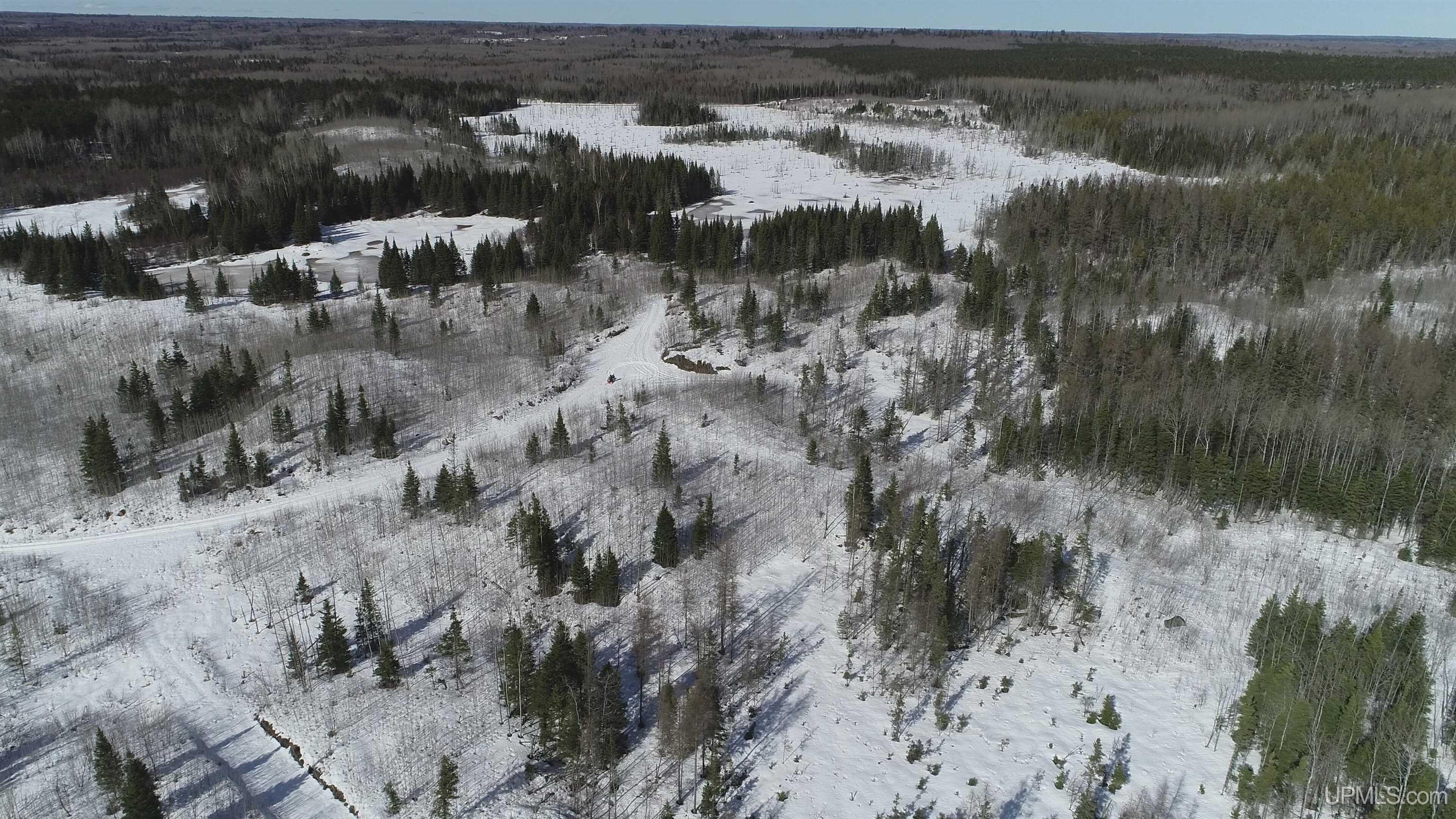 80-acres 80-acres 18th Road Republic, MI 49879 - Photo 22 of 25