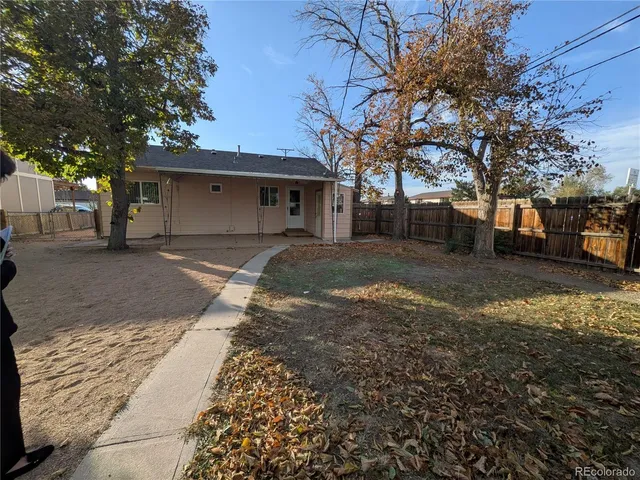 a view of a yard covered with tall trees