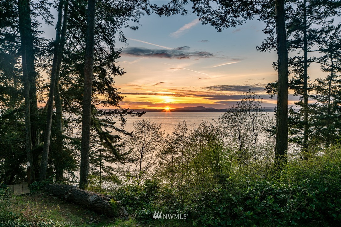 1342 Channel Road Lopez Island, WA 98261 - Photo 5 of 10