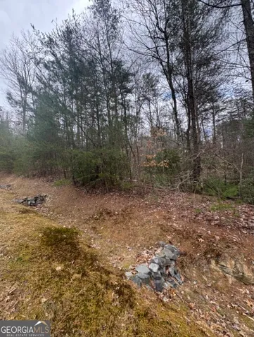 $63,500 | Lot 16 Leatherwood Mountain, Cherry Log, GA 30522