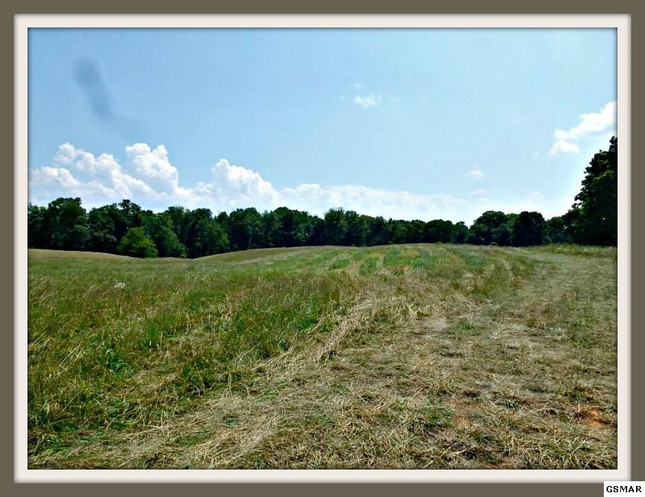 9 Burchfield Road Dandridge, TN 37725 - Photo 1 of 10 Gallery Image 1