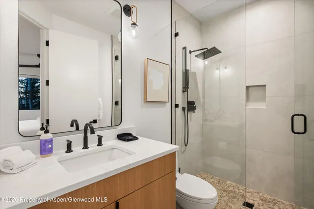 a bathroom with a sink toilet vanity and shower