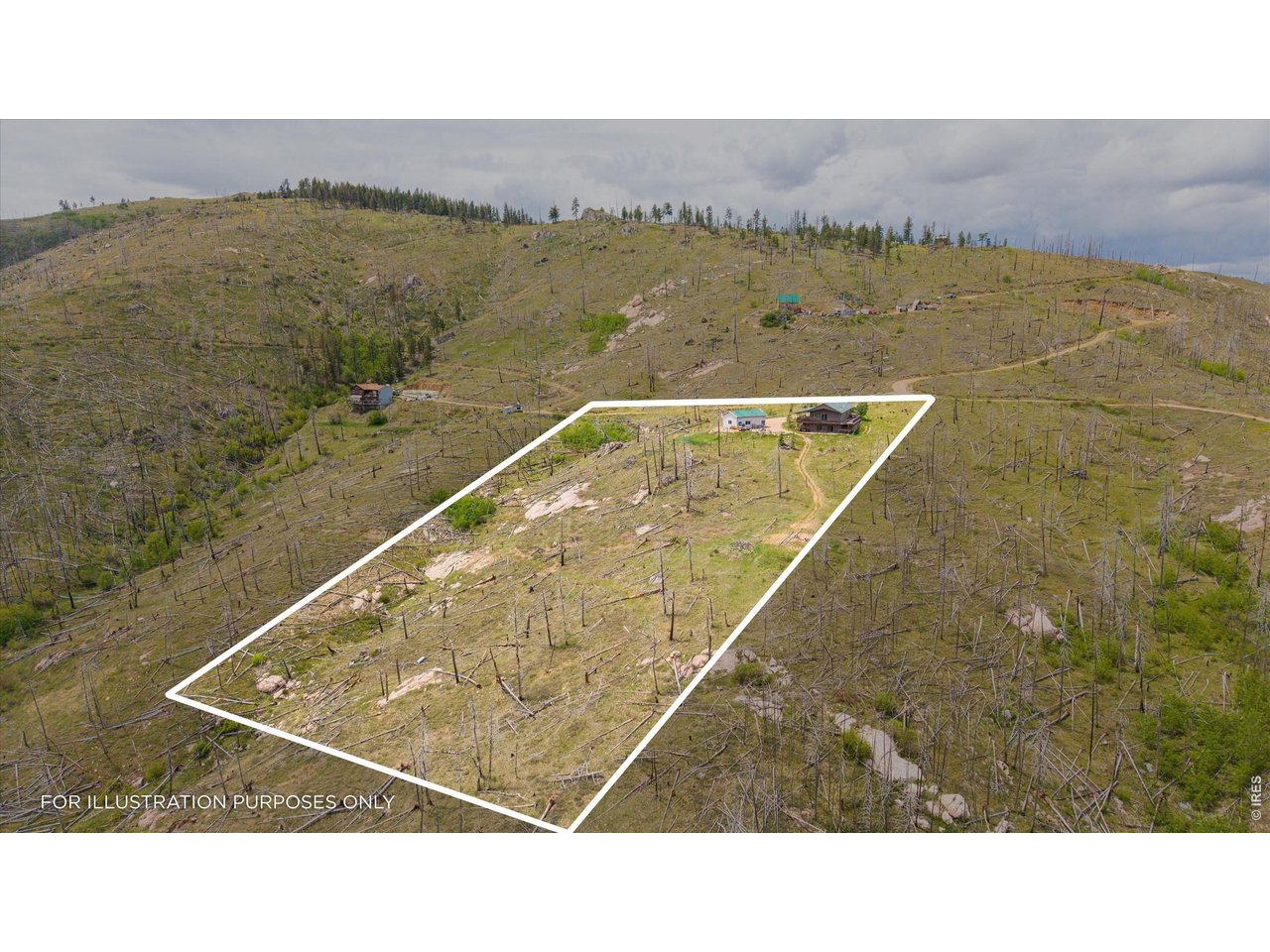 1291 Little Whale Road Bellvue, CO 80512 - Photo 39 of 43 The five acres is ready for you to enjoy