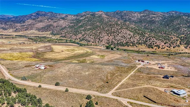 a view of a dry yard