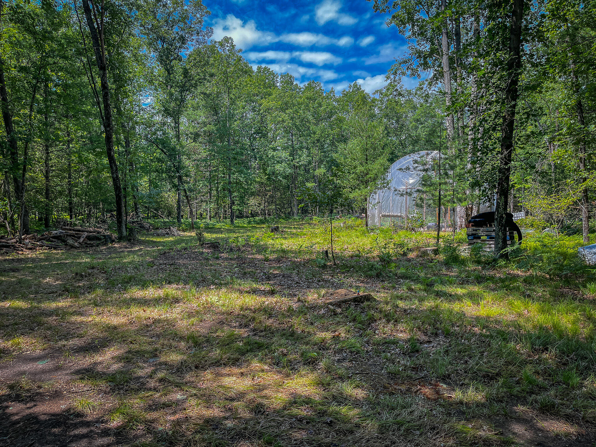 4085 South Cedar Road Chase, MI 49623 - Photo 14 of 41 IMG_9048