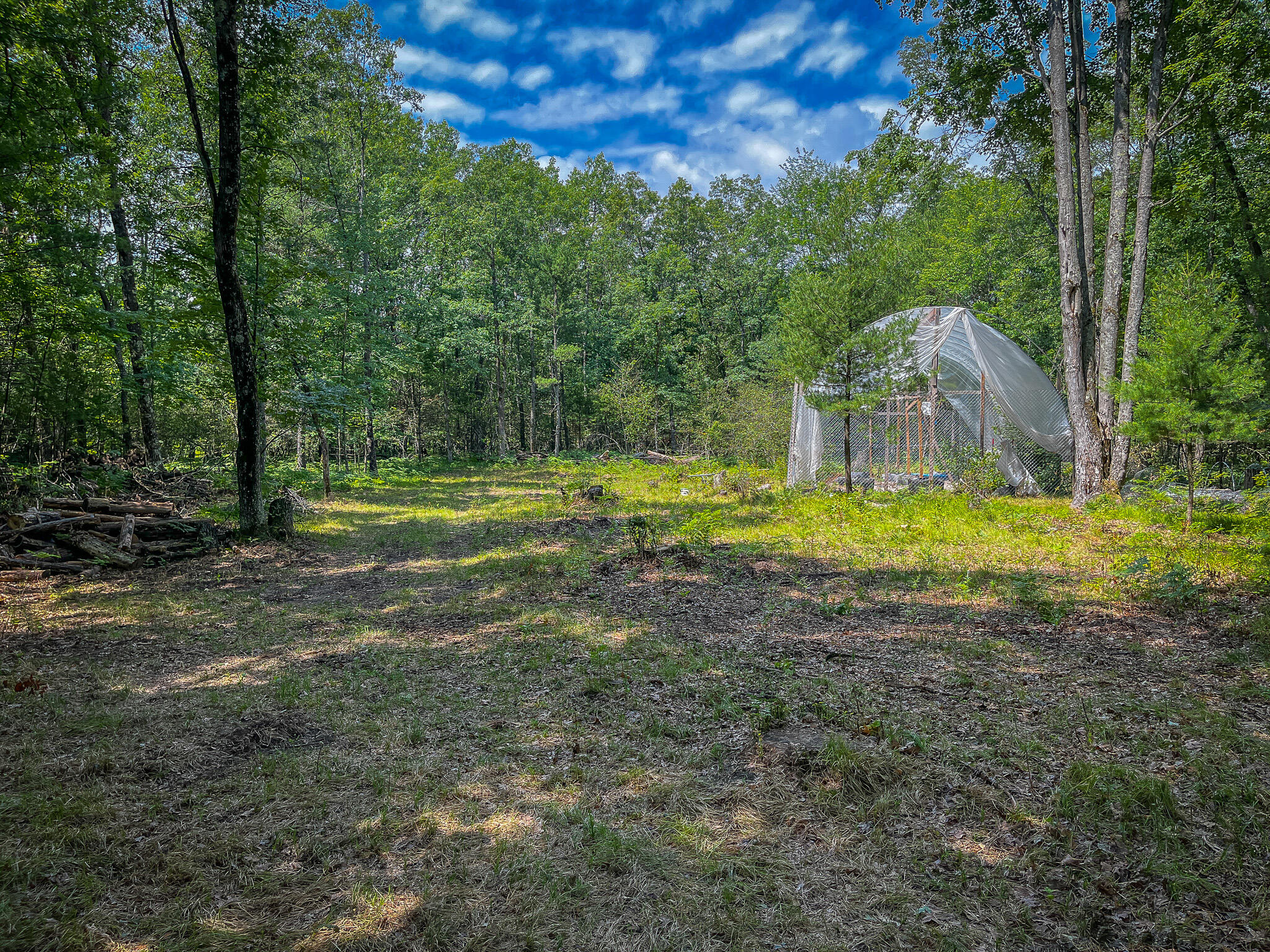 4085 South Cedar Road Chase, MI 49623 - Photo 15 of 41 IMG_9049
