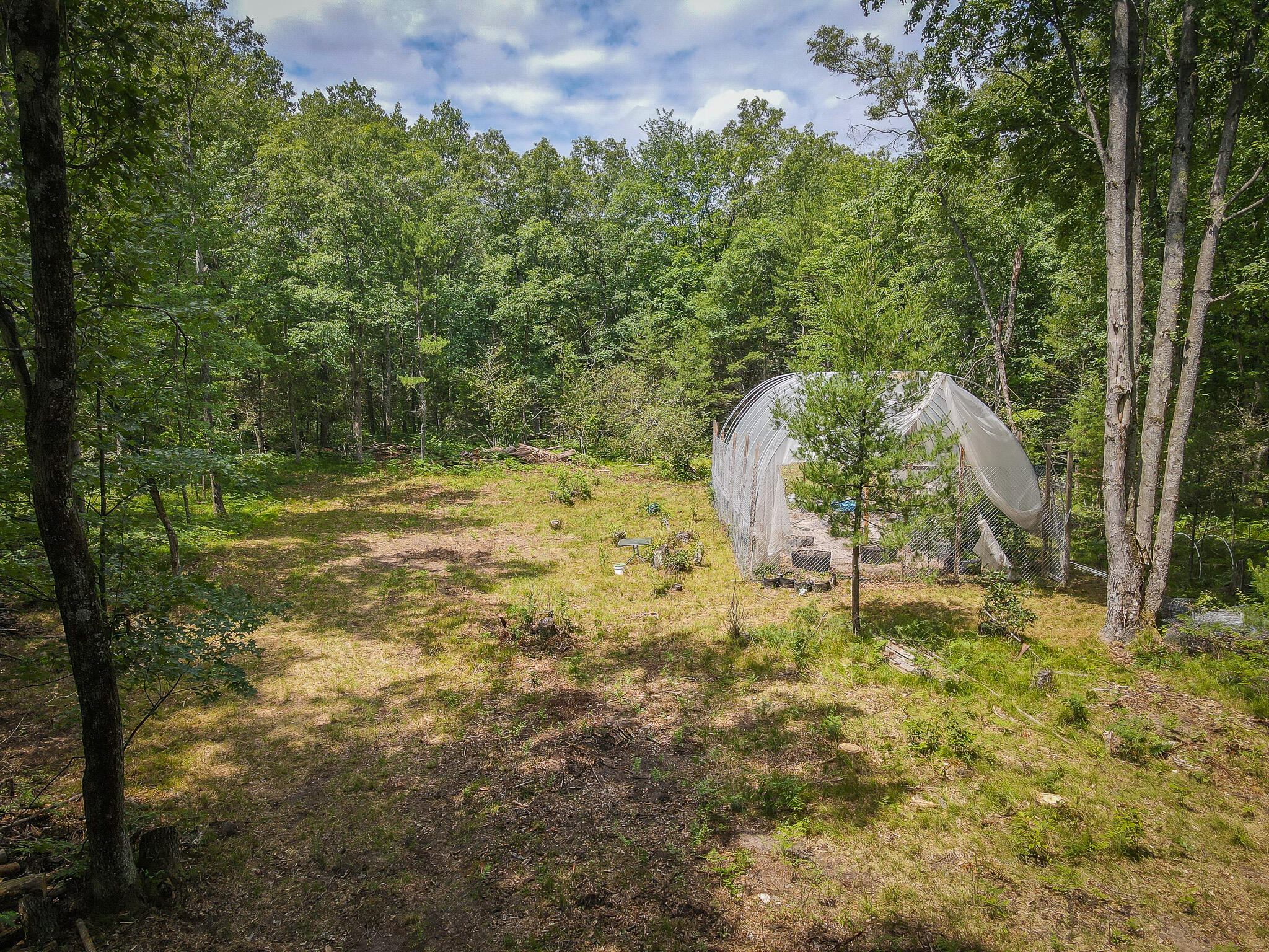 4085 South Cedar Road Chase, MI 49623 - Photo 18 of 41 DJI_0386