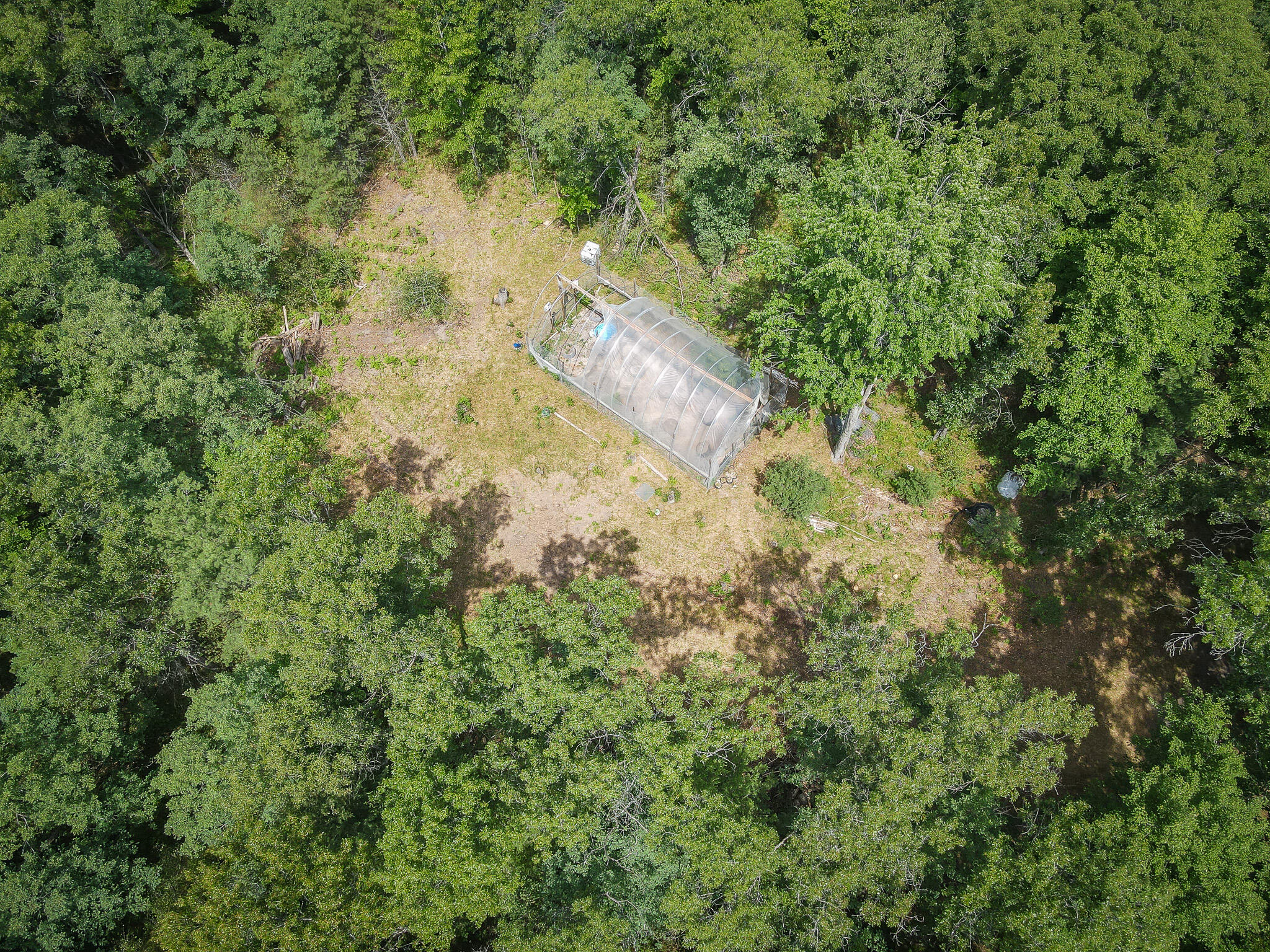 4085 South Cedar Road Chase, MI 49623 - Photo 20 of 41 DJI_0389