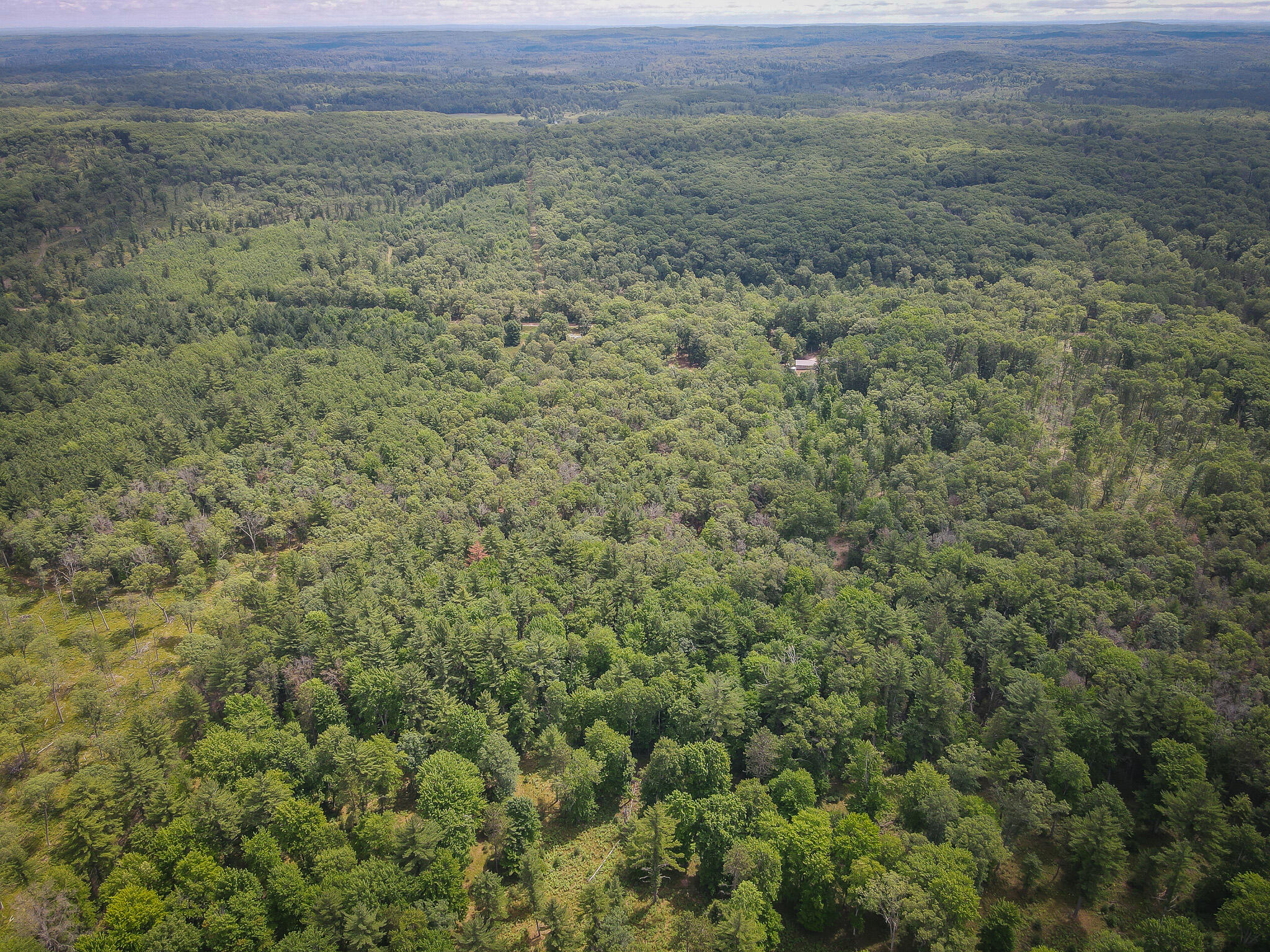 4085 South Cedar Road Chase, MI 49623 - Photo 24 of 41 DJI_0398
