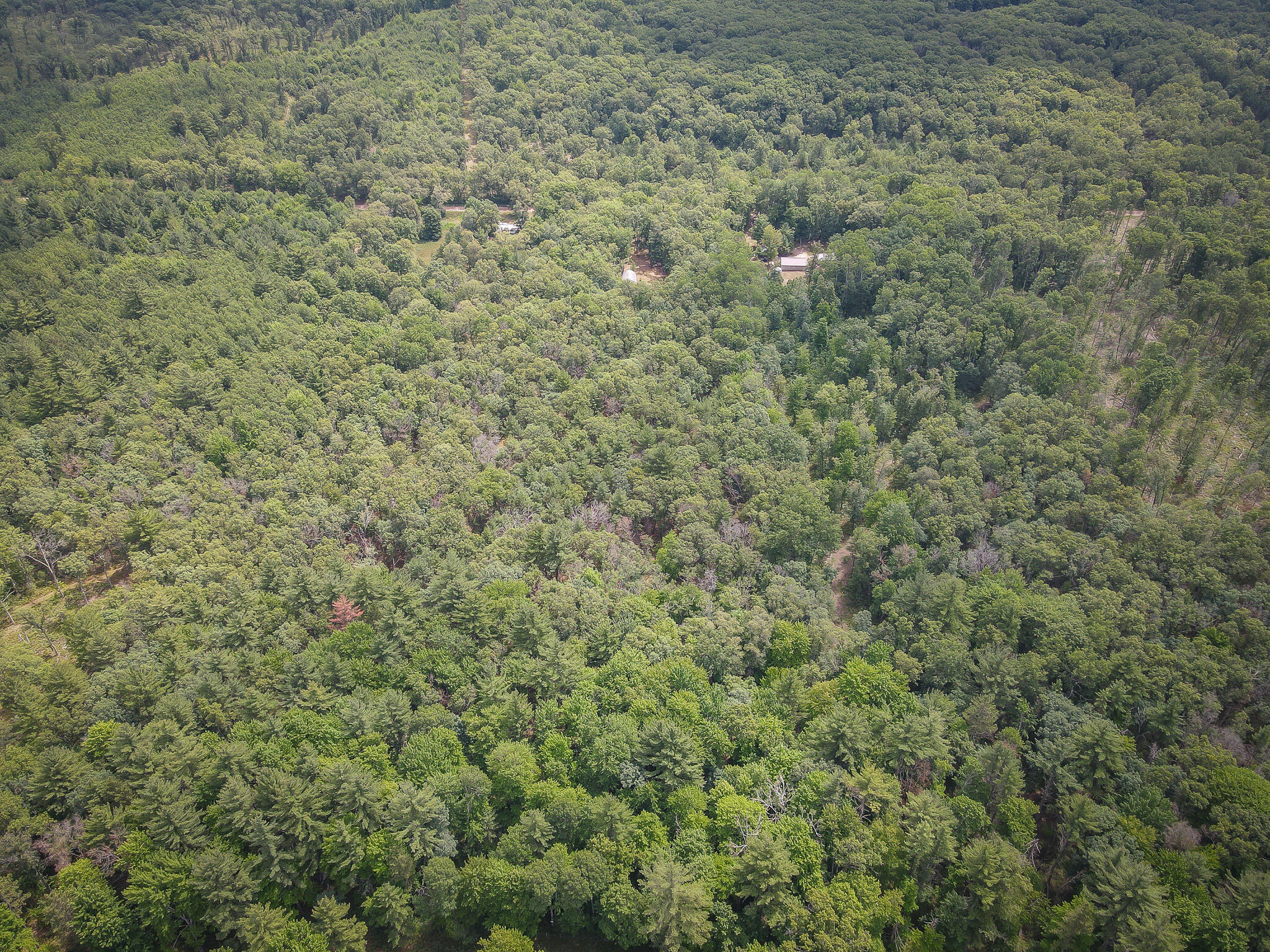 4085 South Cedar Road Chase, MI 49623 - Photo 25 of 41 DJI_0399