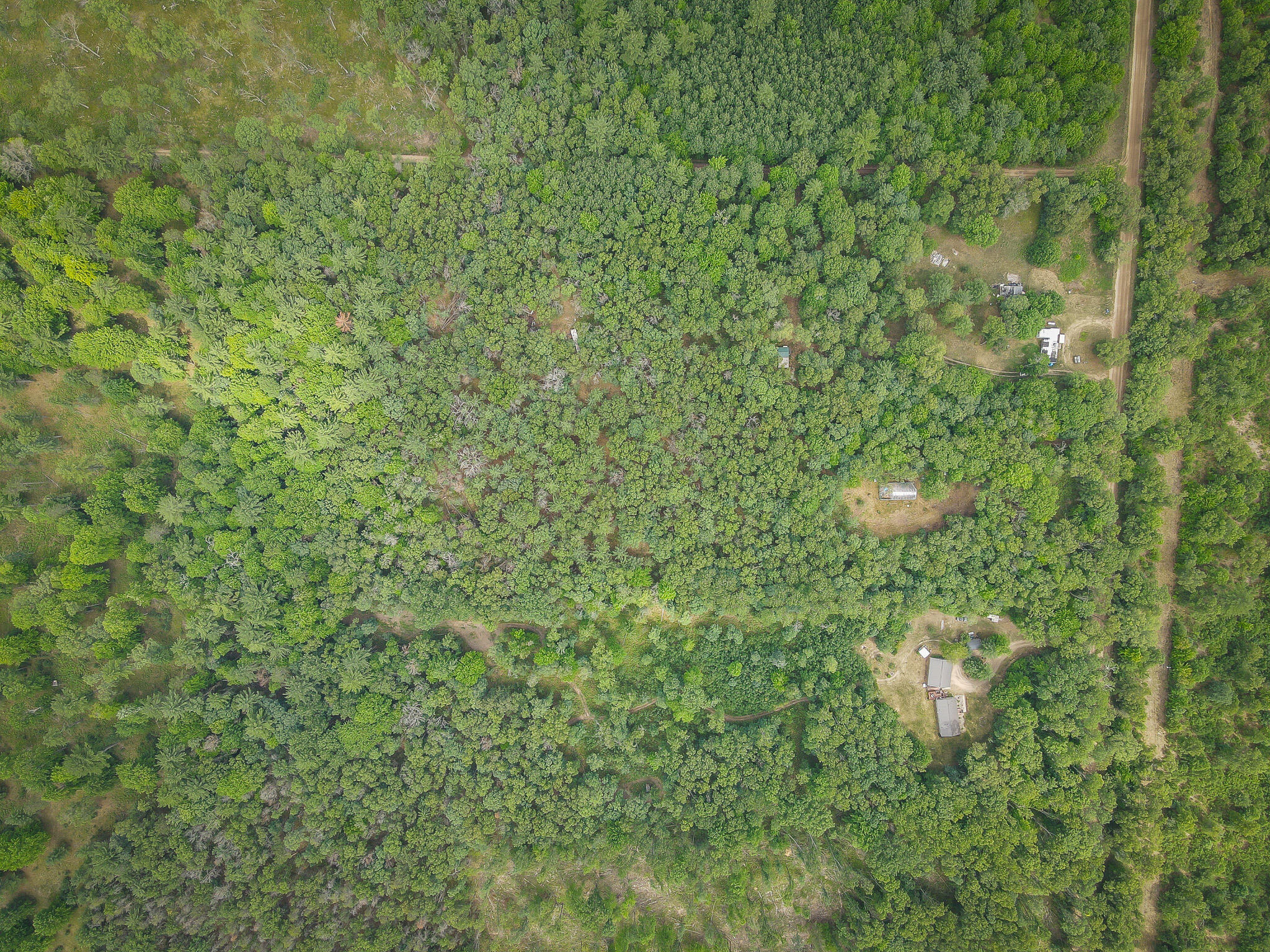 4085 South Cedar Road Chase, MI 49623 - Photo 28 of 41 DJI_0402