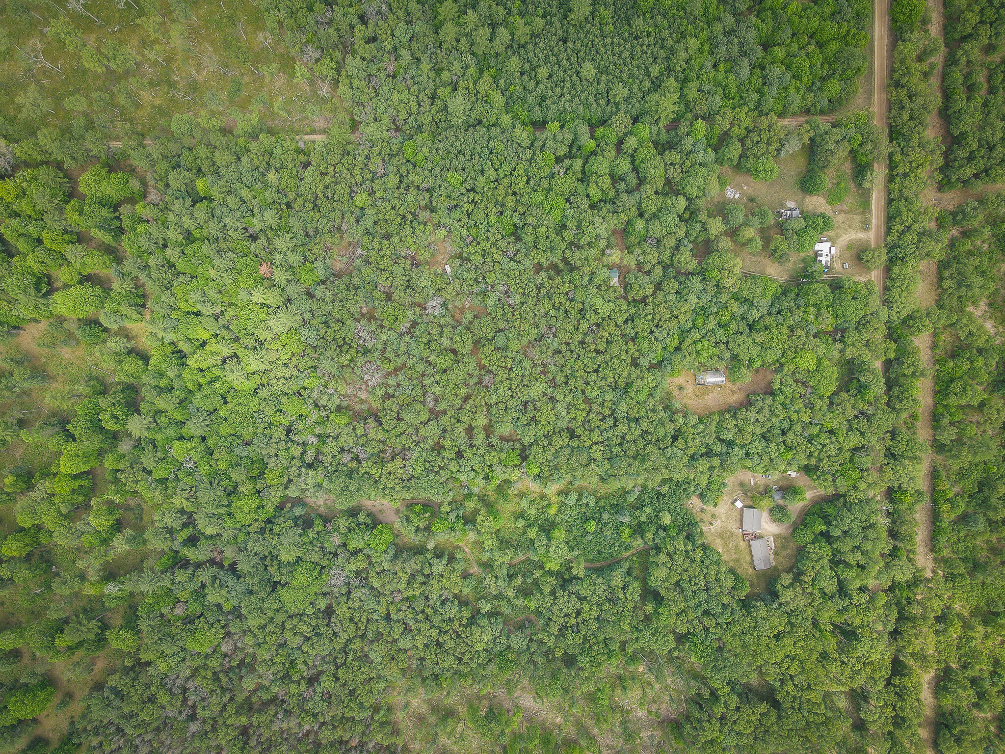 4085 South Cedar Road Chase, MI 49623 - Photo 29 of 41 DJI_0403