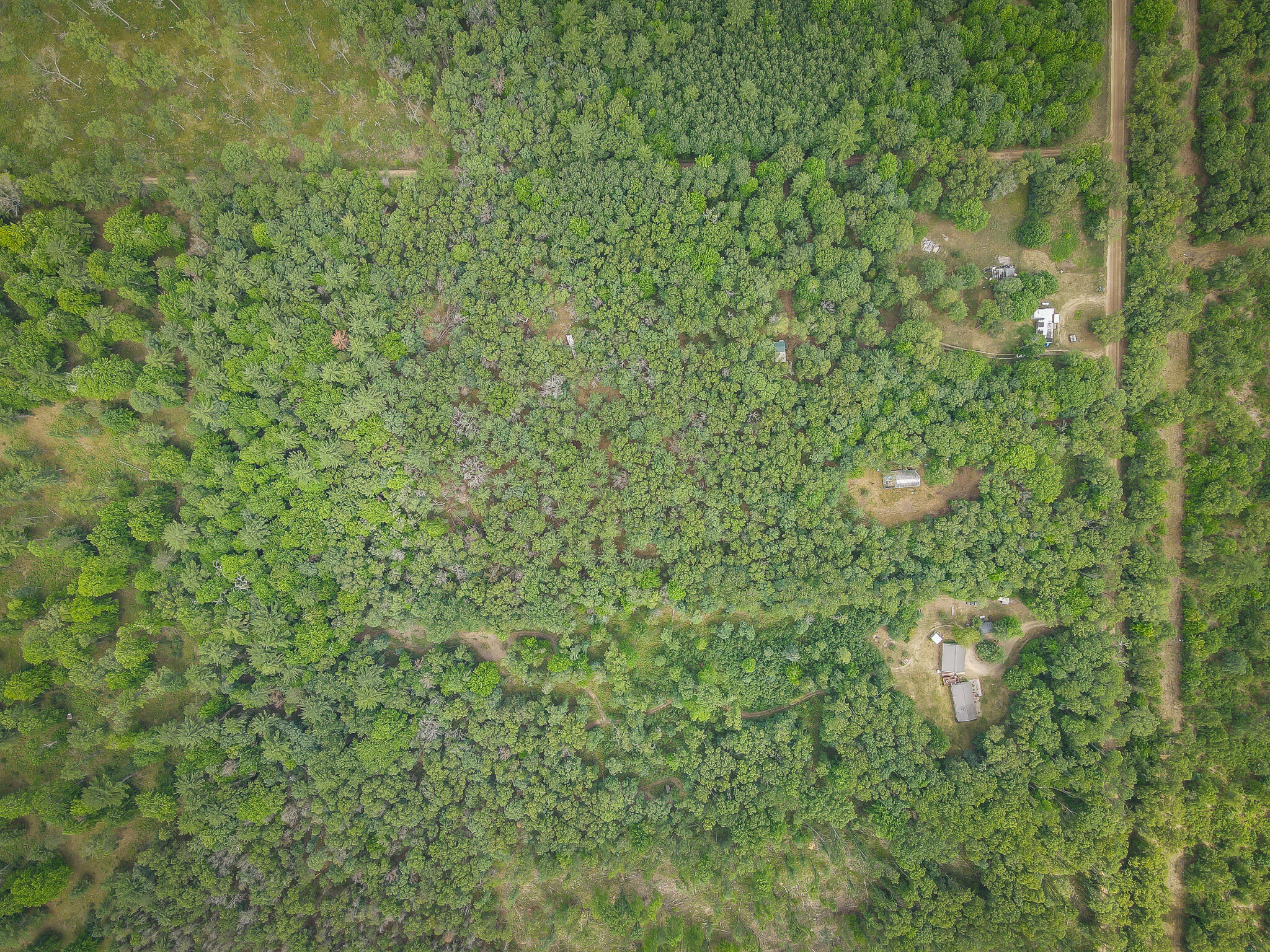 4085 South Cedar Road Chase, MI 49623 - Photo 31 of 41 DJI_0404