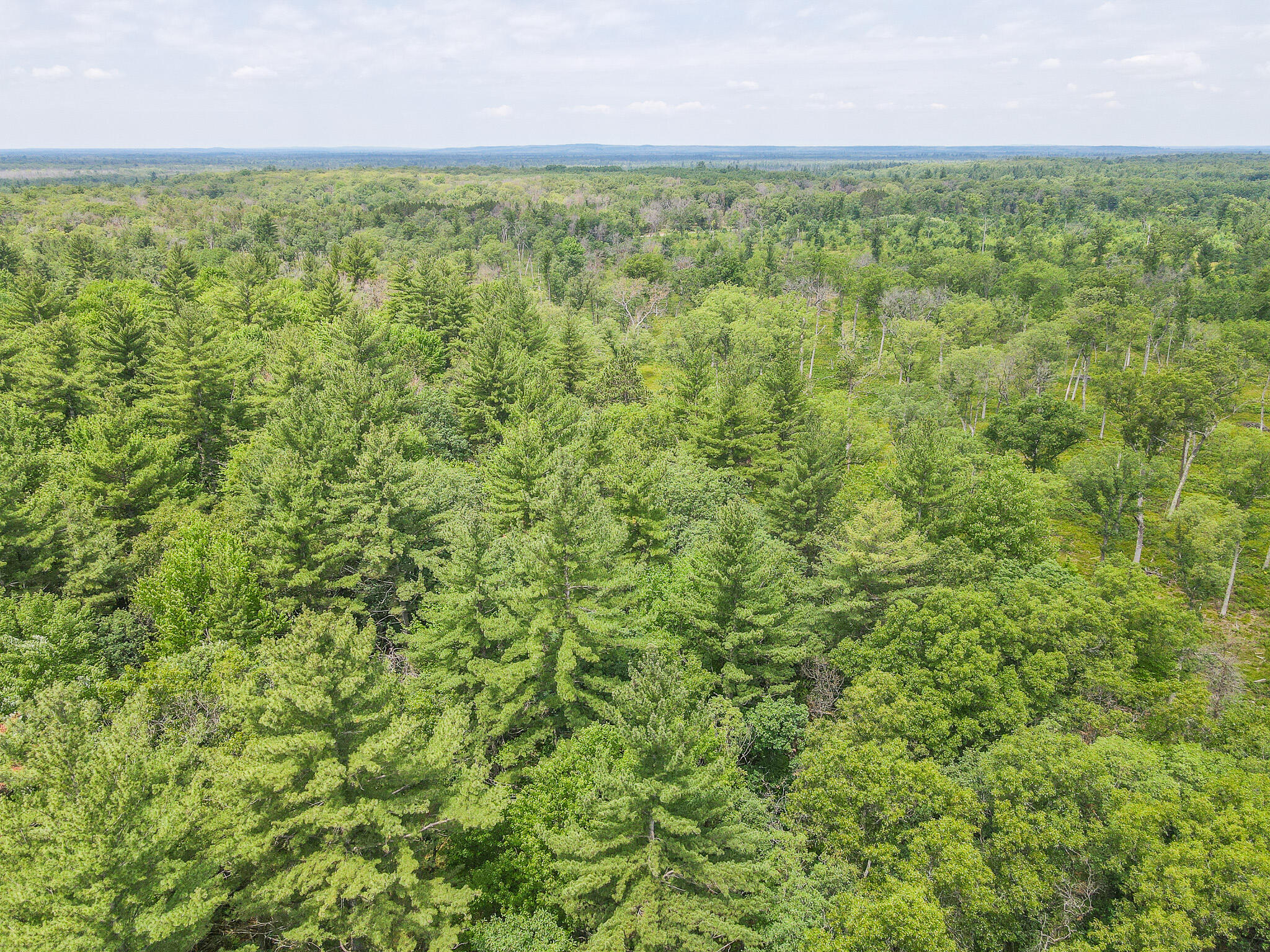 4085 South Cedar Road Chase, MI 49623 - Photo 32 of 41 DJI_0413