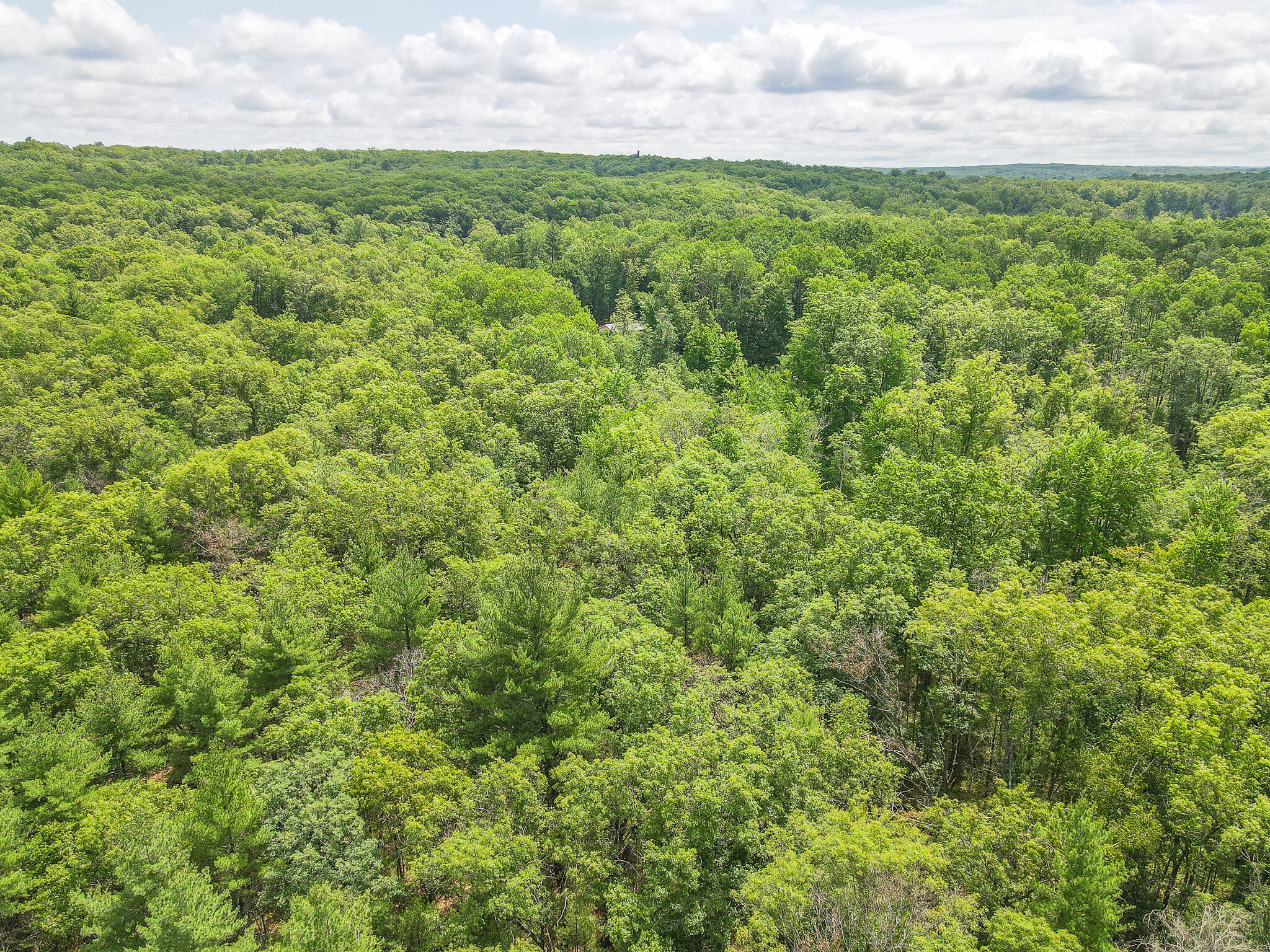 4085 South Cedar Road Chase, MI 49623 - Photo 33 of 41 DJI_0414