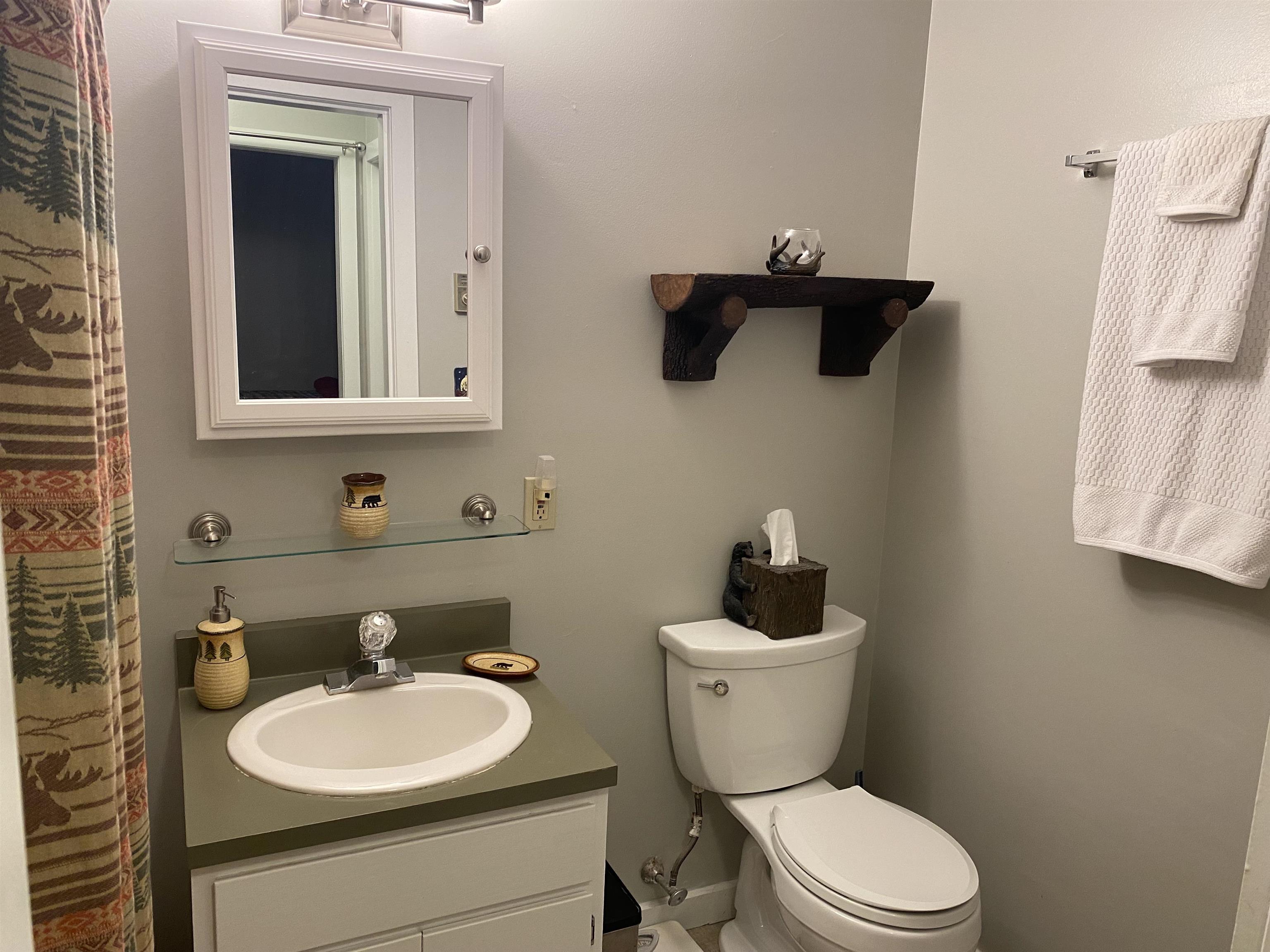 31 Tenney Brook Road, Unit 1 Plymouth, NH 03264 - Photo 14 of 18 Gallery Image 14