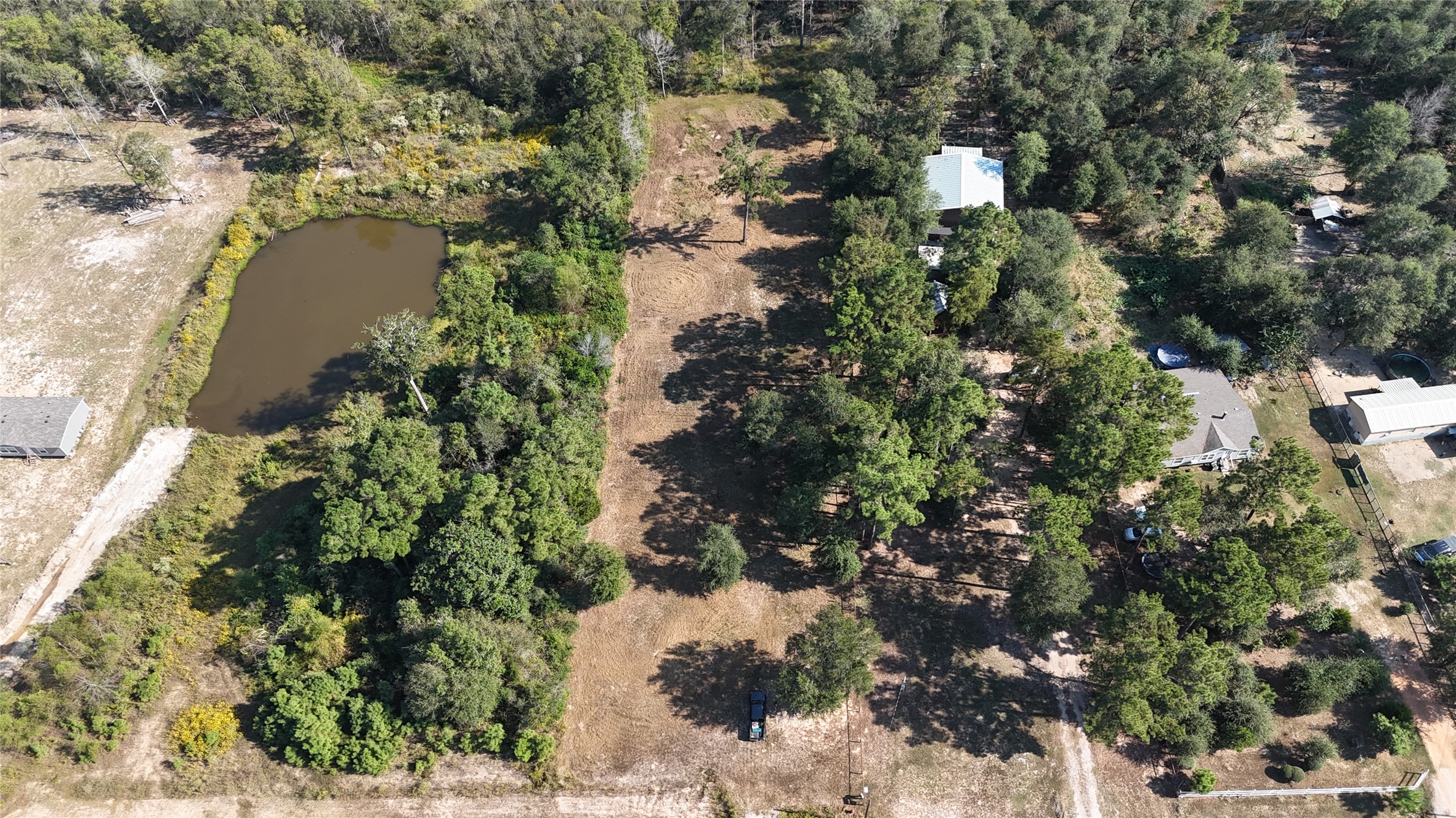 417 County Road 3773 Cleveland, TX 77327 - Photo 3 of 11 a picture of tree