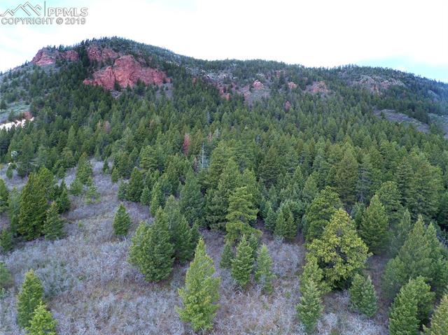 4880 Sandstone Road Monument, CO 80132 - Photo 34 of 36