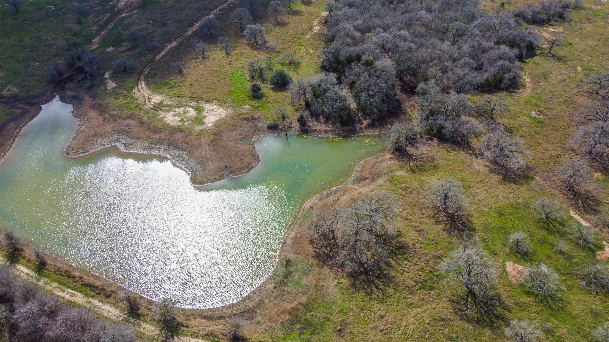 Tbd Tbd New Moon Court Red Rock, TX 78662 - Photo 11 of 19 a view of a wooden wall