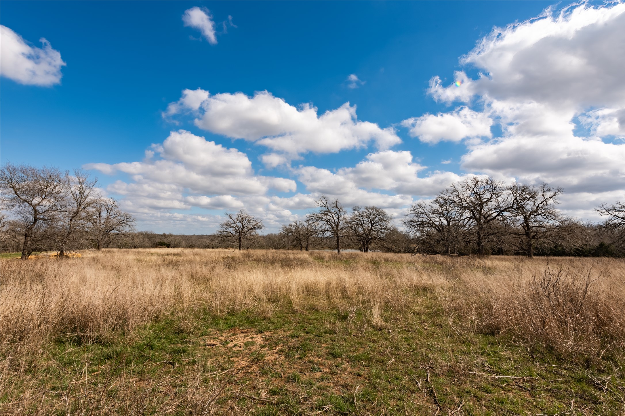 Tbd Tbd New Moon Court Red Rock, TX 78662 - Photo 12 of 19 a view of lake