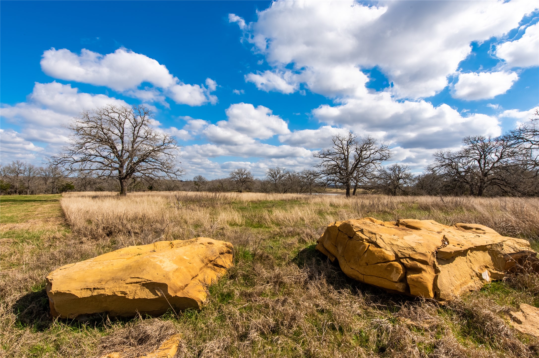 Tbd Tbd New Moon Court Red Rock, TX 78662 - Photo 13 of 19 a view of lake