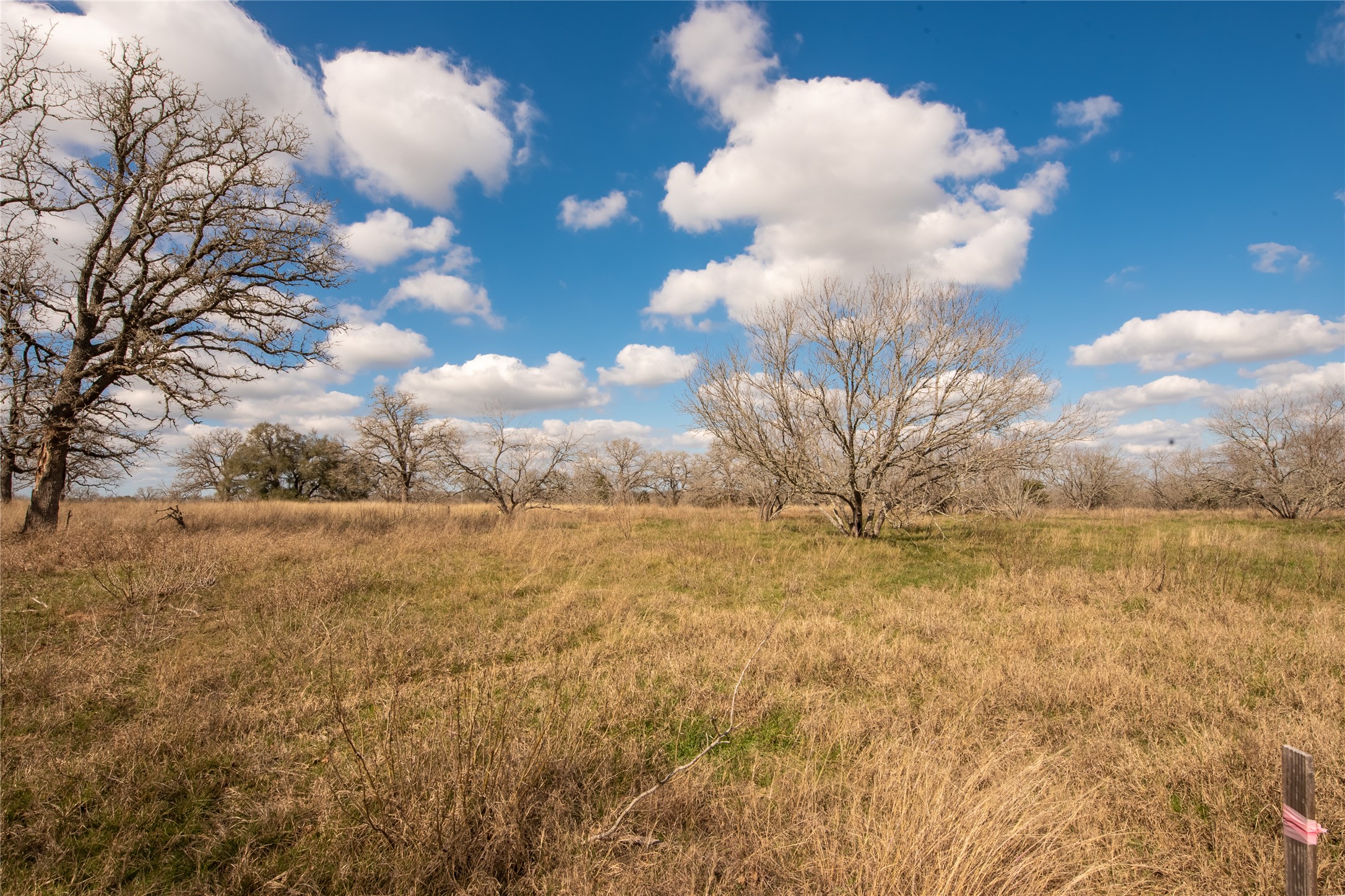 Tbd Tbd New Moon Court Red Rock, TX 78662 - Photo 17 of 19 a view of a yard with an ocean