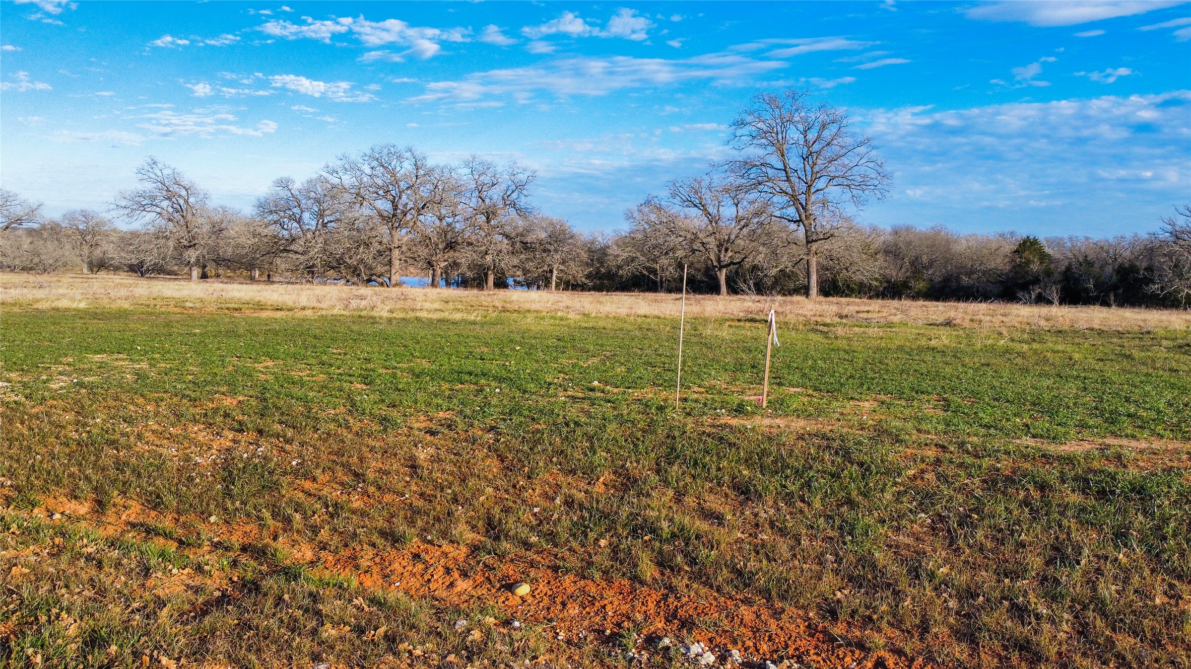 Tbd Tbd New Moon Court Red Rock, TX 78662 - Photo 8 of 19 a view of a field with an trees