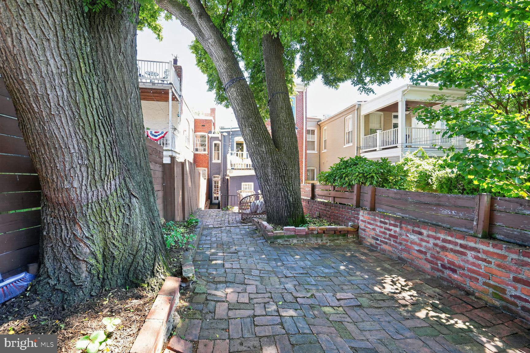 142 D Street Southeast Washington, DC 20003 - Photo 23 of 29 Tier 2