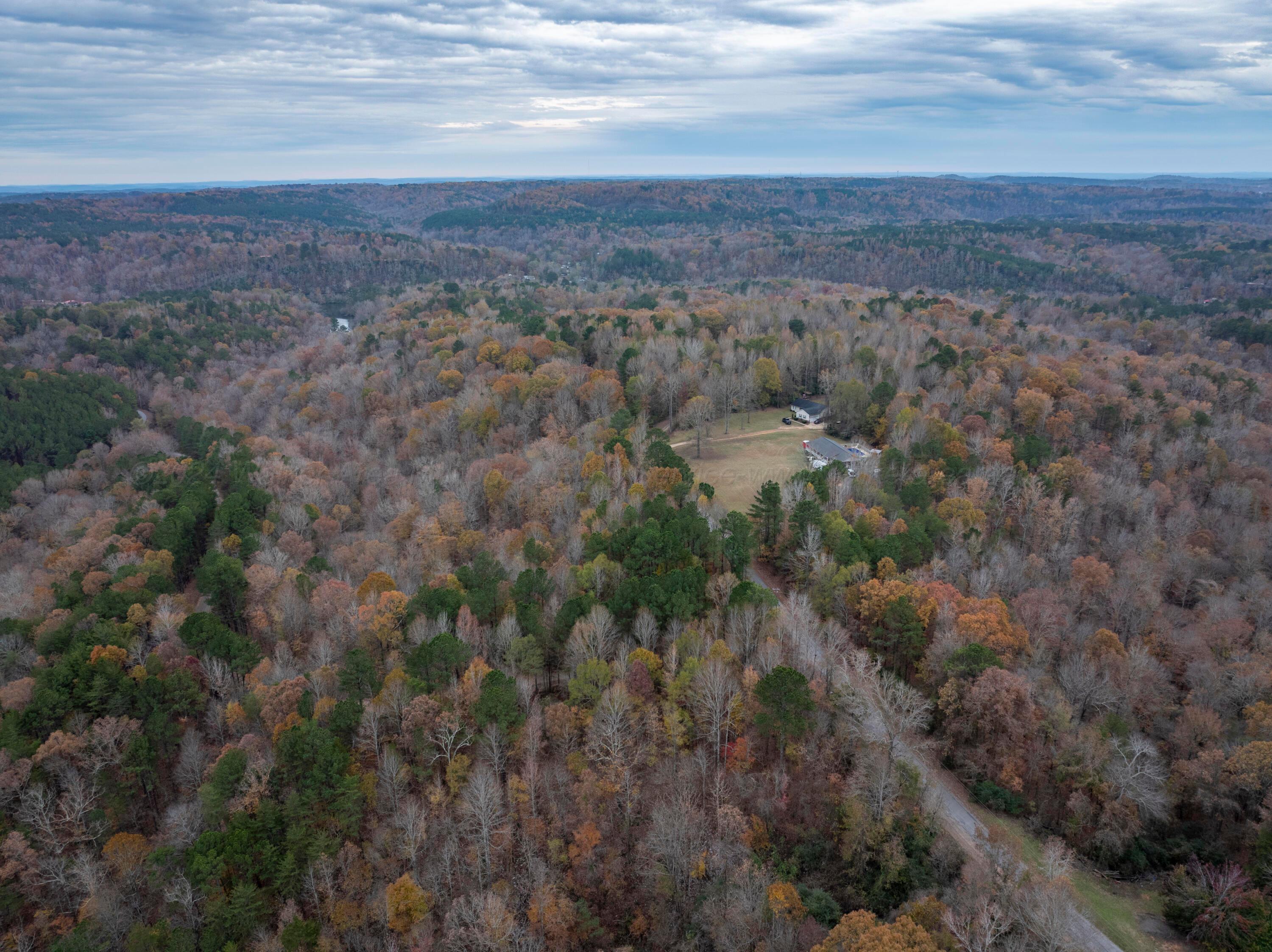 Underwood Road Cordova, AL 35550 - Photo 2 of 9 20241204-DJI_20241204154930_0574_D-HDR