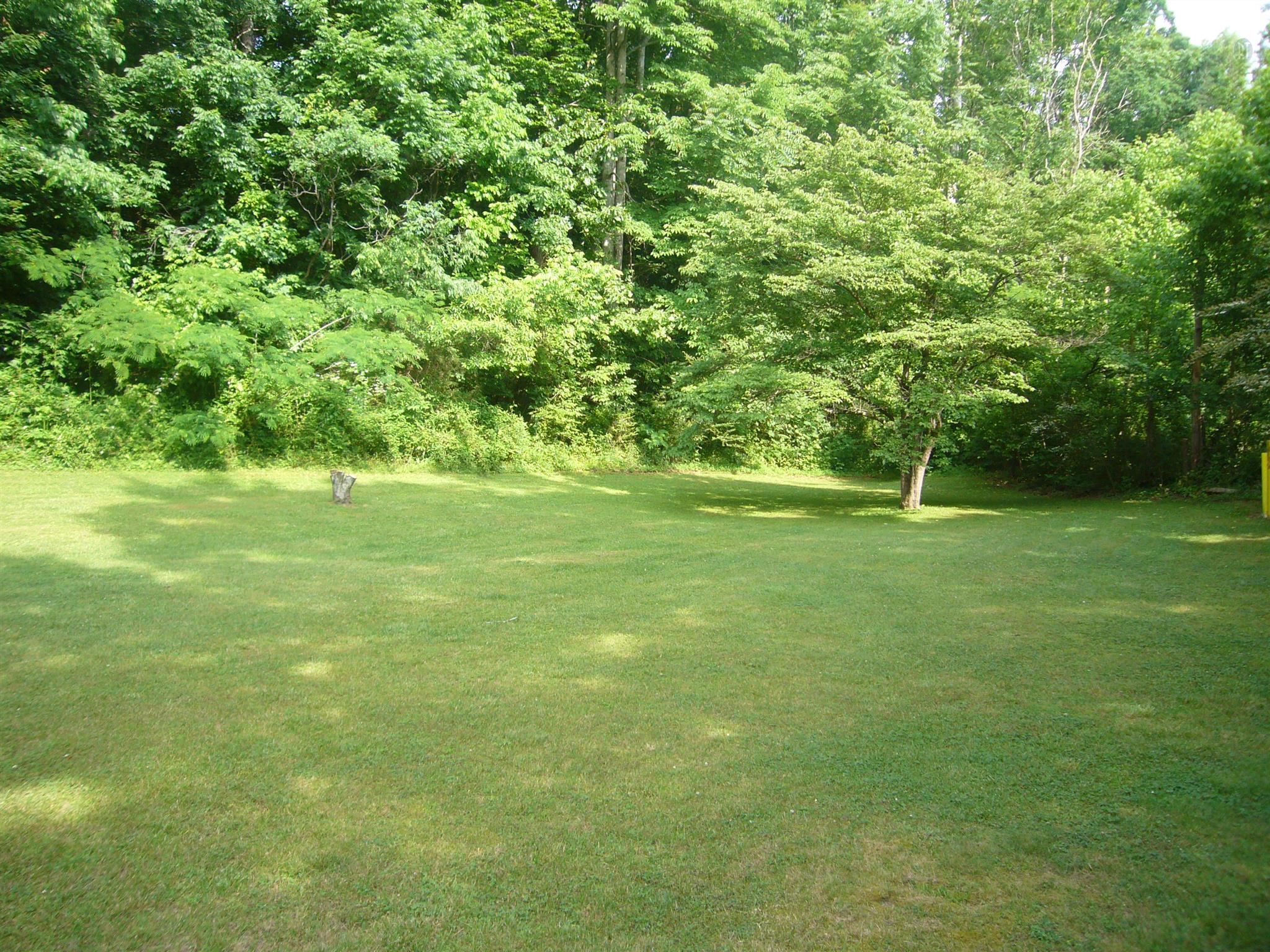 1005 North Springs Road Red Boiling Springs, TN 37150 - Photo 19 of 20 a backyard of a house with lots of green space