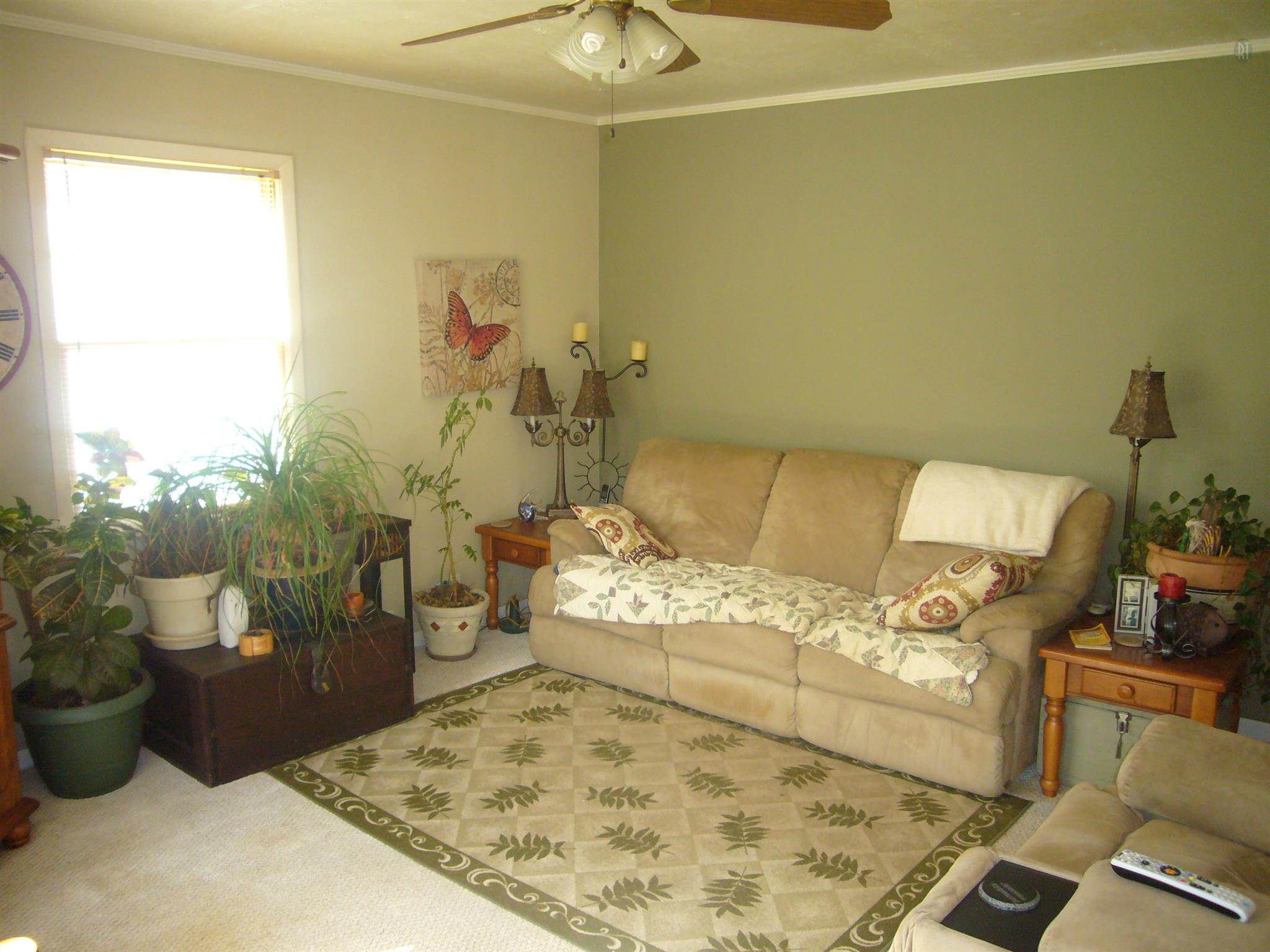 1005 North Springs Road Red Boiling Springs, TN 37150 - Photo 4 of 20 a living room with furniture and a rug