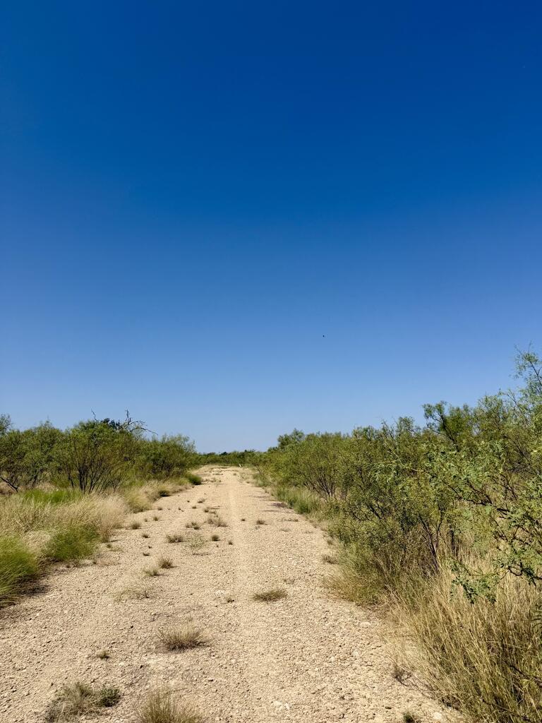 524 South Trap Road Fort McKavett, TX 76841 - Photo 11 of 20 Gallery Image 11