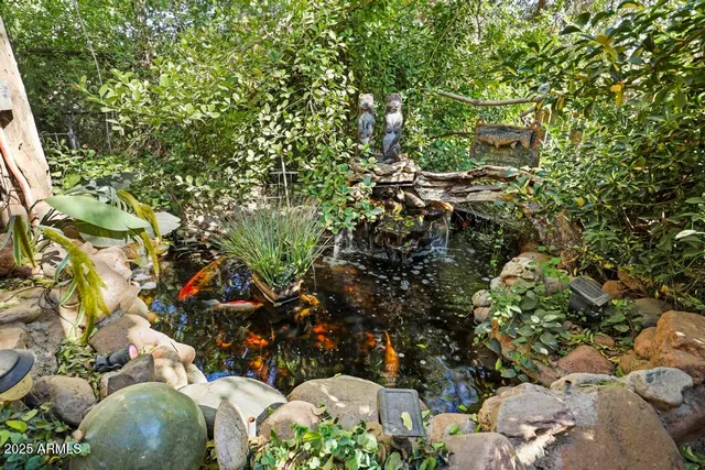 a view of a tree with a plant