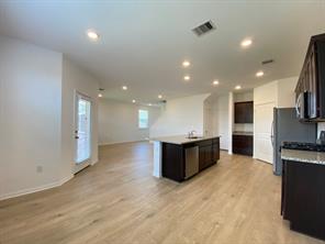 213 Saide Street Georgetown, TX 78626 - Photo 11 of 32 Open-concept living space featuring wood-finish flooring, recessed lighting, and a kitchen island with integrated sink