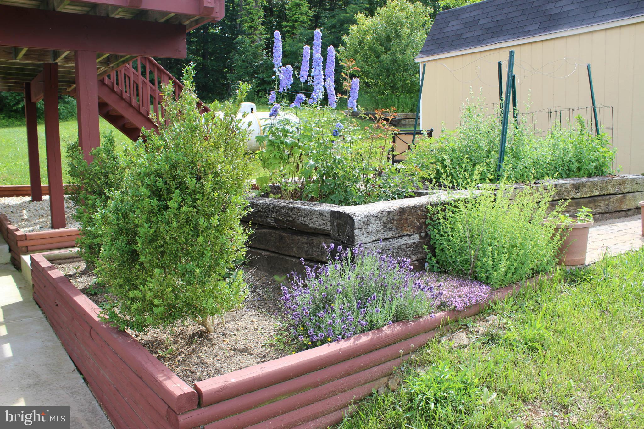 693 Fire Trail Road Front Royal, VA 22630 - Photo 4 of 30 Garden