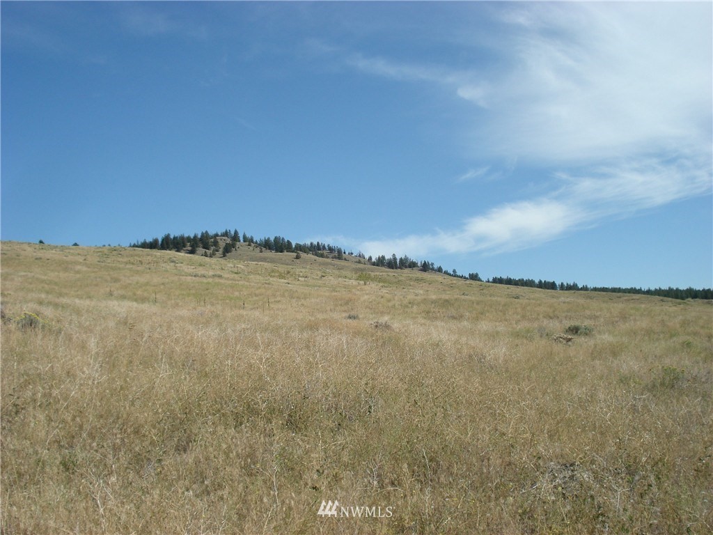 0 Crosswinds Road Tonasket, WA 98855 - Photo 2 of 8 Gallery Image 2