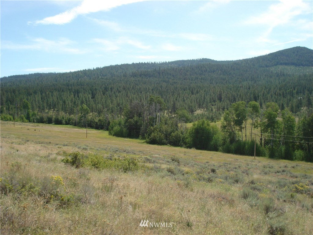 0 Crosswinds Road Tonasket, WA 98855 - Photo 3 of 8 Gallery Image 3