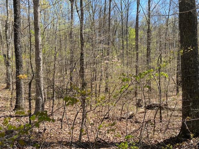 27 Black Mountain Road Dunlap, TN 37327 - Photo 2 of 7 Gallery Image 2