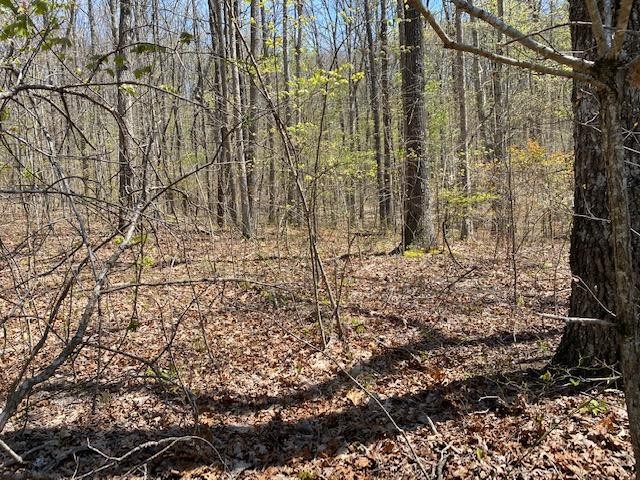 27 Black Mountain Road Dunlap, TN 37327 - Photo 3 of 7 Gallery Image 3