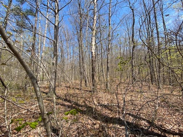 27 Black Mountain Road Dunlap, TN 37327 - Photo 5 of 7 Gallery Image 5