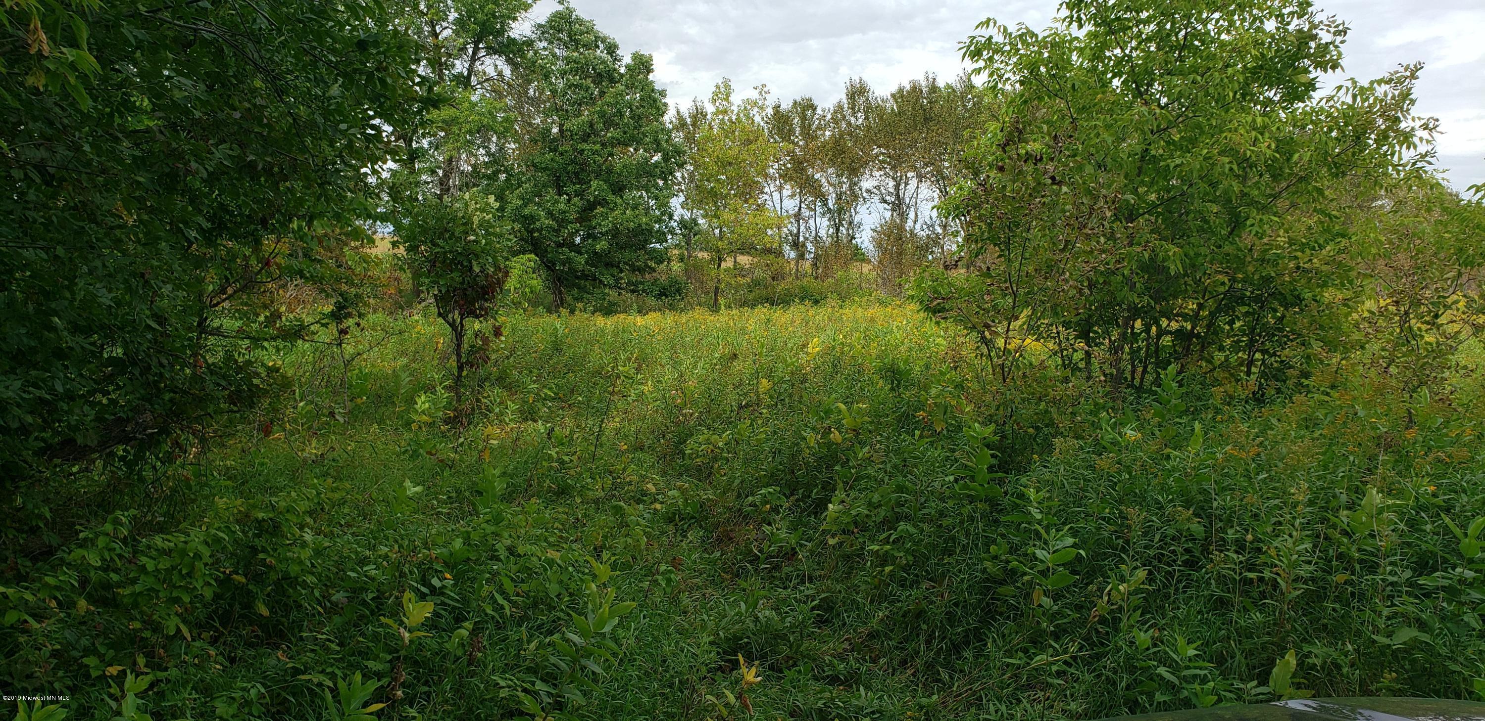 Xxx Leaf River Road Ottertail, MN 56571 - Photo 1 of 1