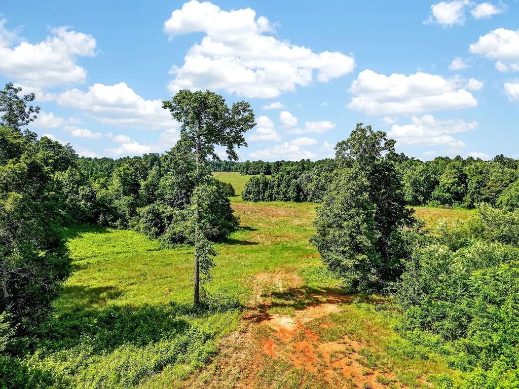 0 Massa Road Baxter, TN 38544 - Photo 9 of 22