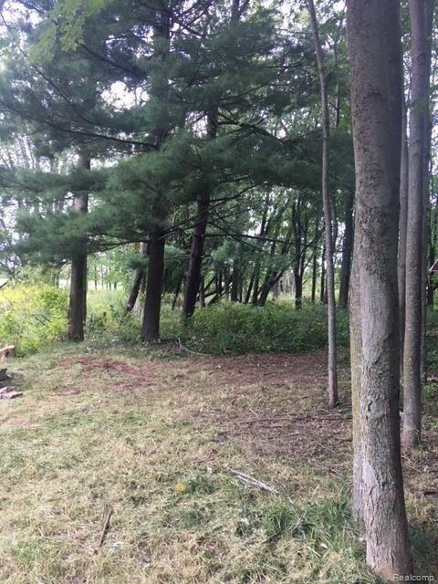 190 Isles Road Sandusky, MI 48471 - Photo 5 of 10
