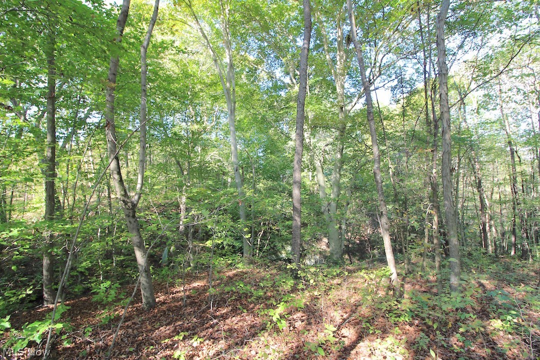 Horseshoe Bend Road Newcomerstown, OH 43832 - Photo 10 of 23 Gallery Image 10
