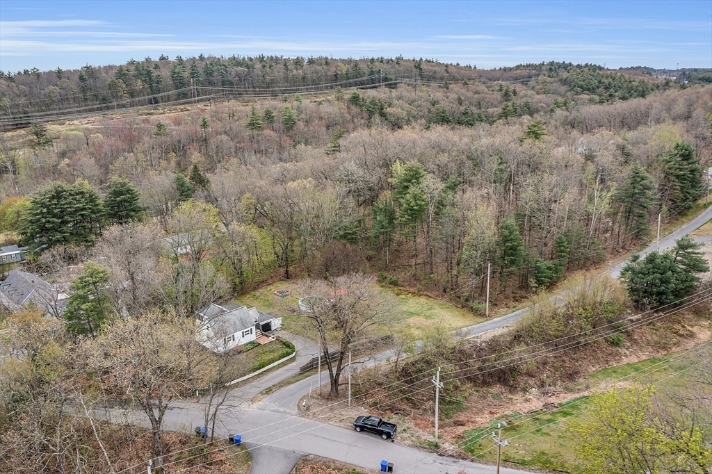 8 Mt Henry Road Shirley, MA 01464 - Photo 5 of 31 a view of a forest with a mountain
