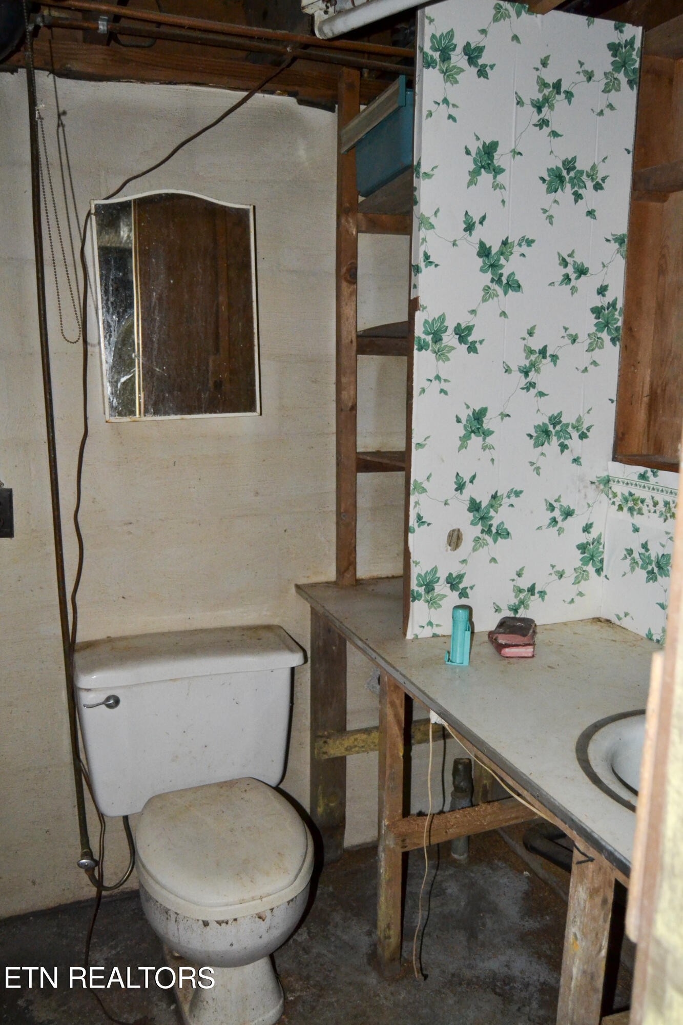 147 Tom Davis Road Livingston, TN 38570 - Photo 19 of 29 a bathroom with a toilet and a shower